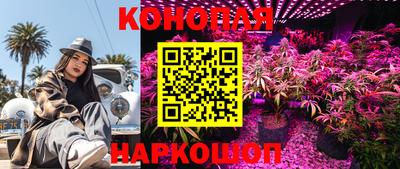 стаф Балашиха