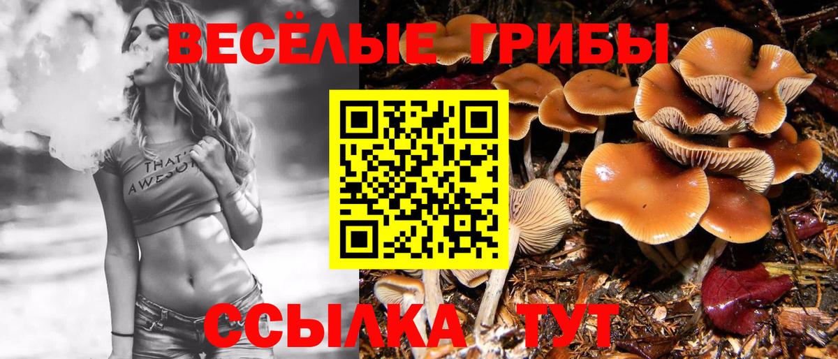 Галлюциногенные грибы MAGIC MUSHROOMS Кирово-Чепецк
