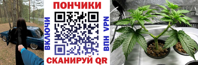 MEGA зеркало  Кирово-Чепецк  Шишки марихуана Amnesia  купить закладку 